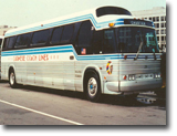 Bus 29